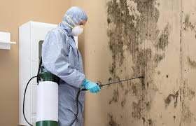 Best Comprehensive Air Testing for Mold Contaminants  in USA